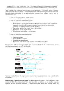 ESPRESSIONE DEL GENOMA UMANO NELLE CELLULE