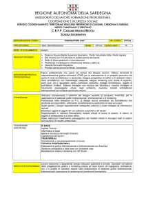 DISEGNATORE CAD - Regione Sardegna