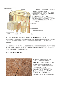 Il fusto-1 - Istituto Comprensivo Lari