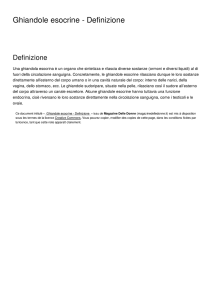 Ghiandole esocrine - Definizione