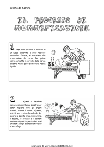 Mummificazione nell'Antico Egitto: Il Processo