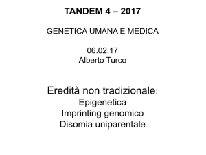 Diapositiva 1 - tandem | univr