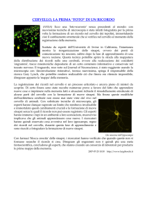 foto - AIMA Biella