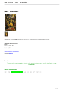 Semi Curiose : MAIS " Arlecchino "
