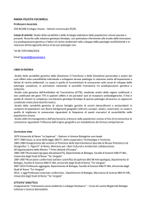 Curriculum - Università degli Studi di Roma "Tor Vergata"