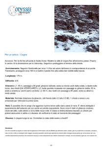 Per un amico - Cogne