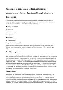 Analisi per le ossa: calcio, fosforo, calcitonina, paratormone