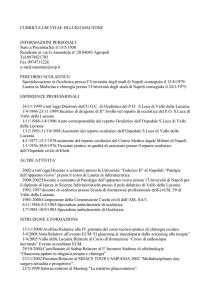 CURRICULUM VITAE DI LUIGI MAUTONE INFORMAZIONI