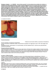 Genera PDF