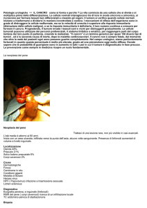 Genera PDF