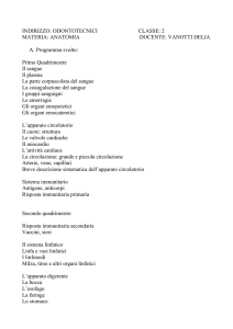 INDIRIZZO: ODONTOTECNICI CLASSE: 2 MATERIA: ANATOMIA