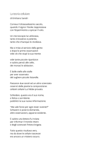 La teoria cellulare