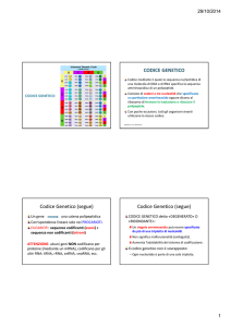 Codice Genetico