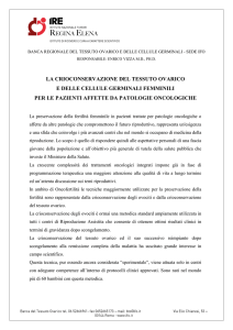 la crioconservazione del tessuto ovarico e delle cellule germinali