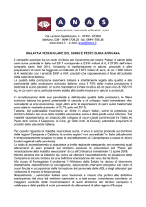 malattia vescicolare del suino e peste suina africana