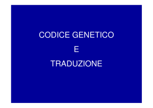 (Microsoft PowerPoint - Codice Genetico e Traduzione [modalit\340