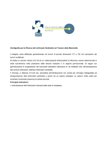 Descrizione (Che cos`è?)