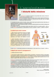 L`approfondimento