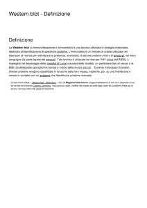 Western blot - Definizione