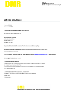 Scheda Sicurezza