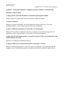 Risposte alle domande aperte