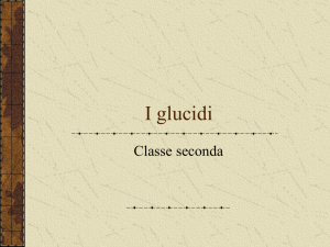 I glucidi - Scienze degli alimenti