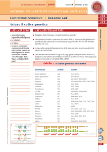 3-d11-usiamo il codice genetico+verifica