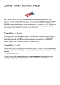 Leucociti - Globuli bianchi alti e bassi