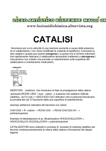 Polimeri catalisi approfondimenti