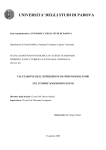 Documento PDF - Padua@Research