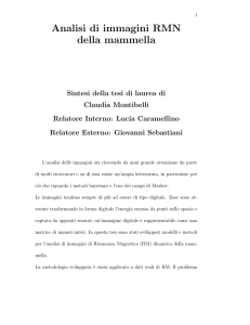 Analisi di immagini RMN della mammella
