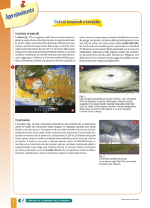 file  - Istituto Italiano Edizioni Atlas