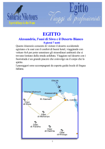 Alessandria e l`oasi di siwa e il Deserto Bianco in 8 giorni 7 notti