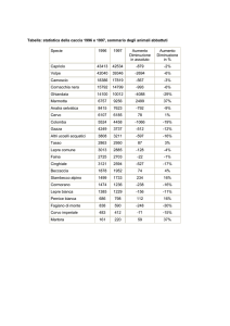 Tabella statistica