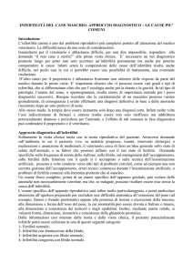 INFERTILITÀ DEL CANE MASCHIO