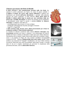 Chiusura percutanea del Dotto di Botallo