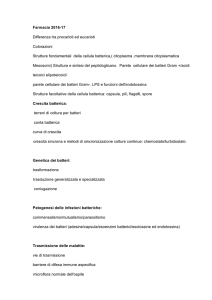 Farmacia 2016-17 Differenza tra procarioti ed eucarioti Colorazioni