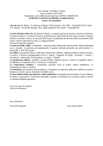 Scarica - Liceo Statale Galileo Galilei