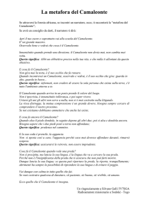 La metafora del Camaleonte