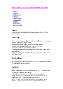 Sesta malattia o esantema critico
