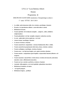 programmi primo e secondo anno per ottici