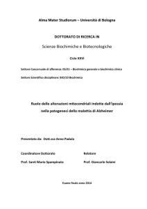 - AMS Tesi di Dottorato