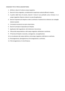 Magnetismo - Istituto Romano Bruni