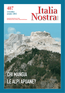 Articolo dal Bollettino 487 - Francesca Marzotto Caotorta