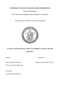 Sintesi della Tesi - Ingegneria per l`Ambiente e il Territorio