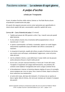 un Pdf con alcuni spunti per organizzare una lezione