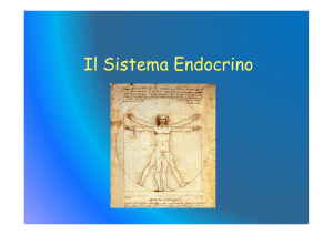 Il Sistema Endocrino