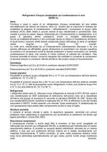 Descrizione di capitolato