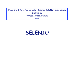 selenio - Macroarea di Scienze