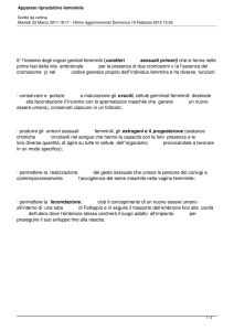 Apparato riproduttivo femminile - Consultorio Familiare UCIPEM